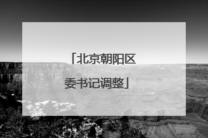 北京朝阳区委书记调整